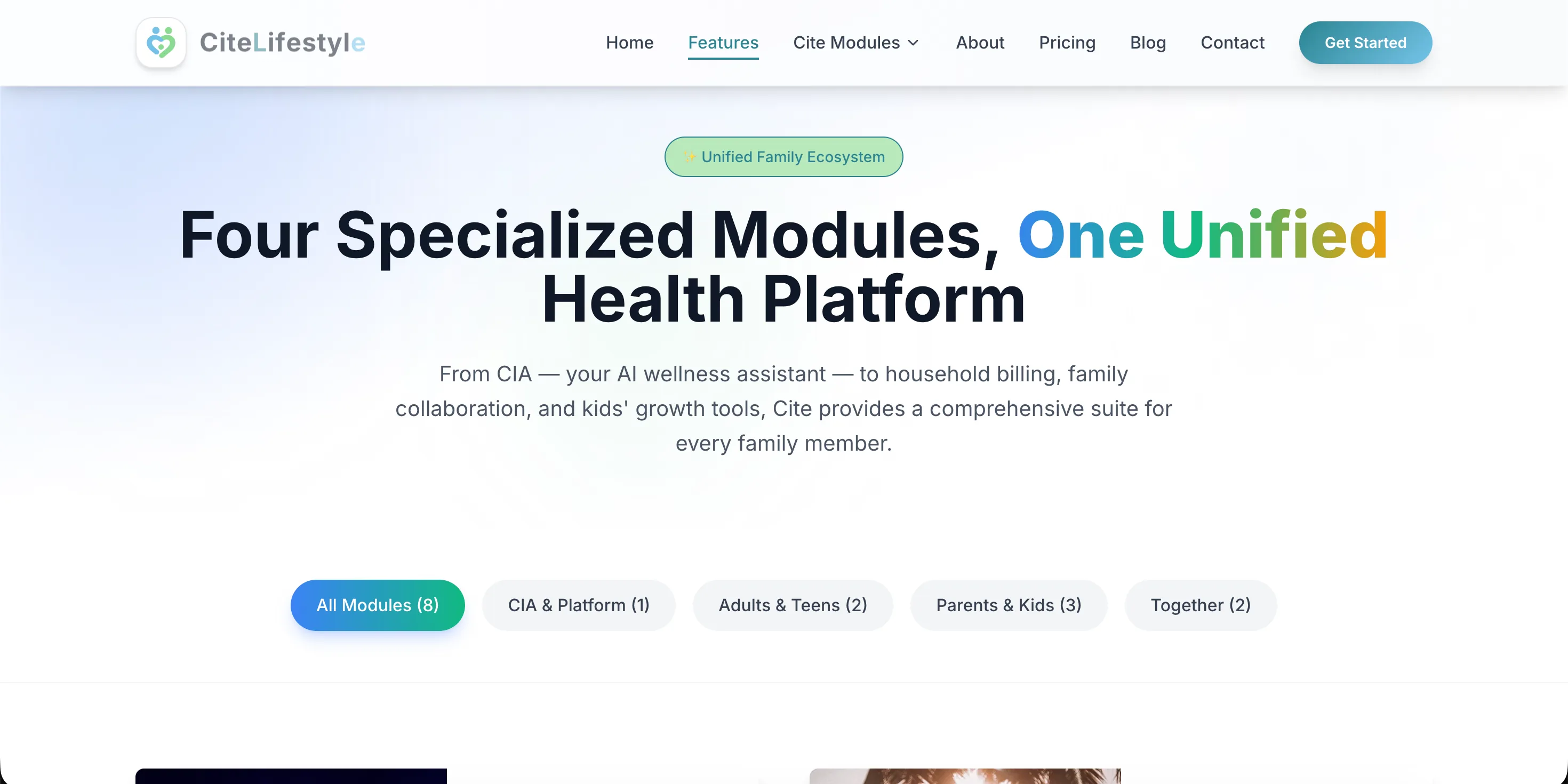 CITE Lifestyle — Websites